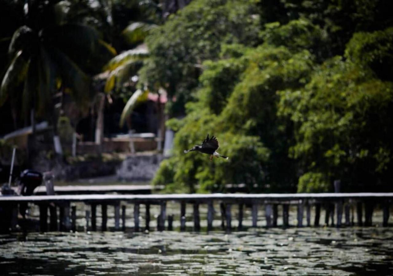 Lagoon Special Suite: Bikes & Kayaks! Bacalar Exterior foto